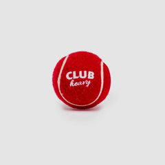 SG Cricket Ball Club Heavy