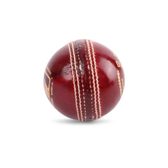 SG Cricket Ball Bouncer
