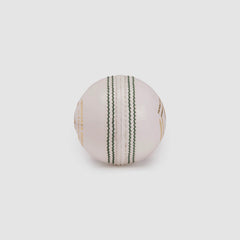 SG Cricket Ball Test Le