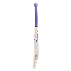 SS Cricket Bat Ton Glory