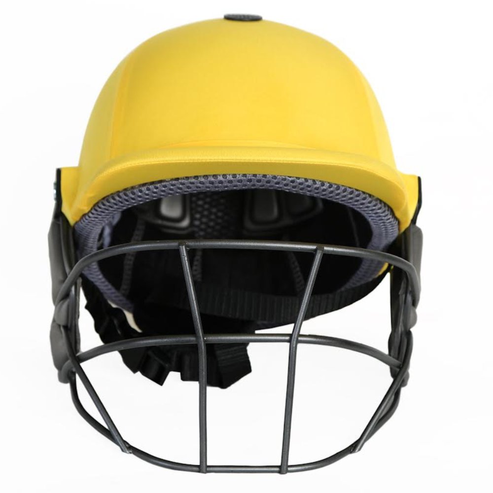 DSC Cricket Helmet Punch