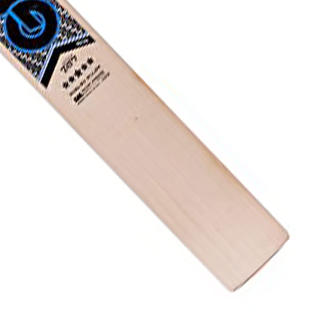 GM Cricket Bat Galaxy 707