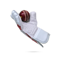 SF Wicket Keeping Gloves Classic Pro