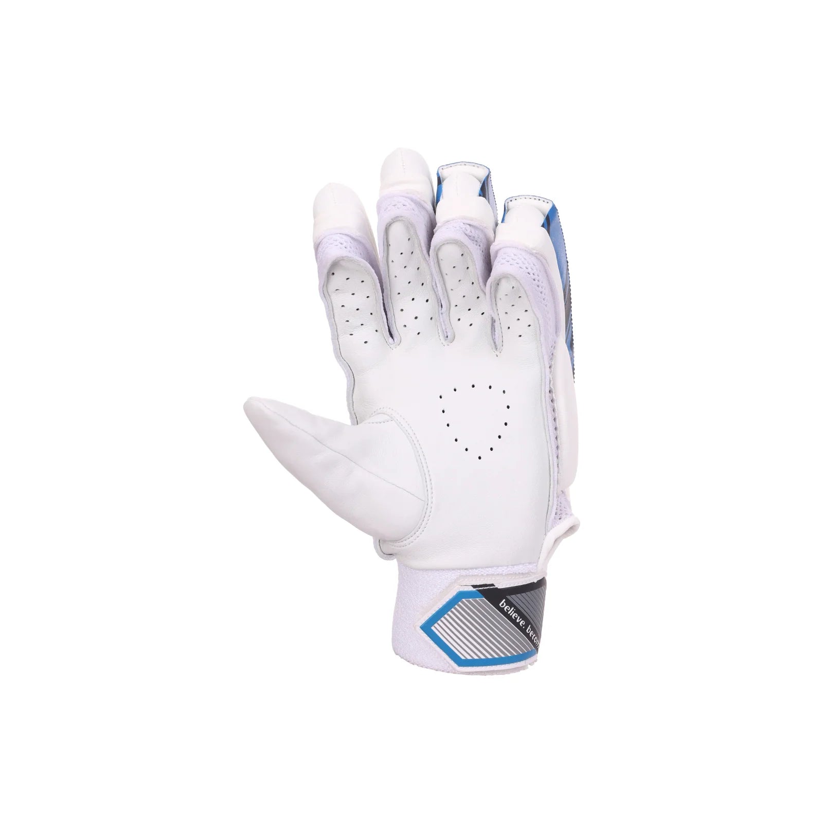 SG Batting Gloves Test RO