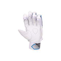 SG Batting Gloves Test RO