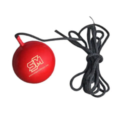 SM Cricket Ball Synthetic