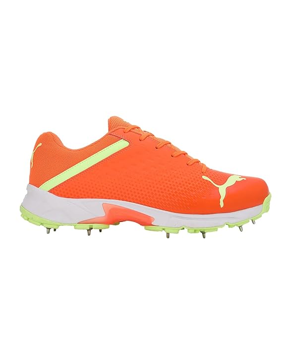 PUMA Cricket Shoes 24 FH Rubber