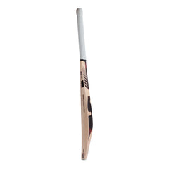 SG Cricket Bat Sunny Tonny Icon