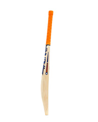 Somi Cricket Bat Player