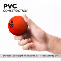 DSC Cricket Ball Air 200