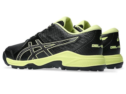 Asics Gel-Peake 2 Cricket Shoes