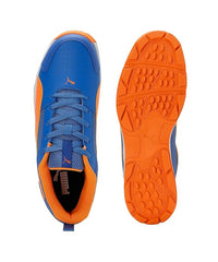 PUMA Cricket Shoes High Run