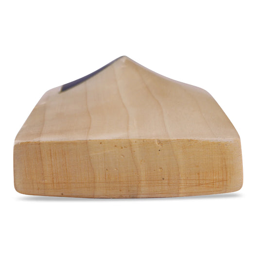 SG Cricket Bat Triple Crown Icon