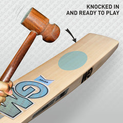 GM Cricket Bat Kryos 404