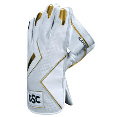 DSC Wicket Keeping Gloves Players