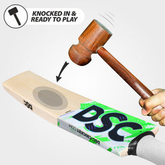 SS Cricket Bat Ton Reserve Edition