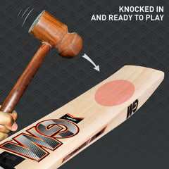 GM Cricket Bat Rival 444