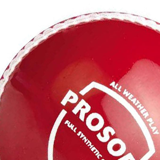 SG Cricket Ball Prosoft