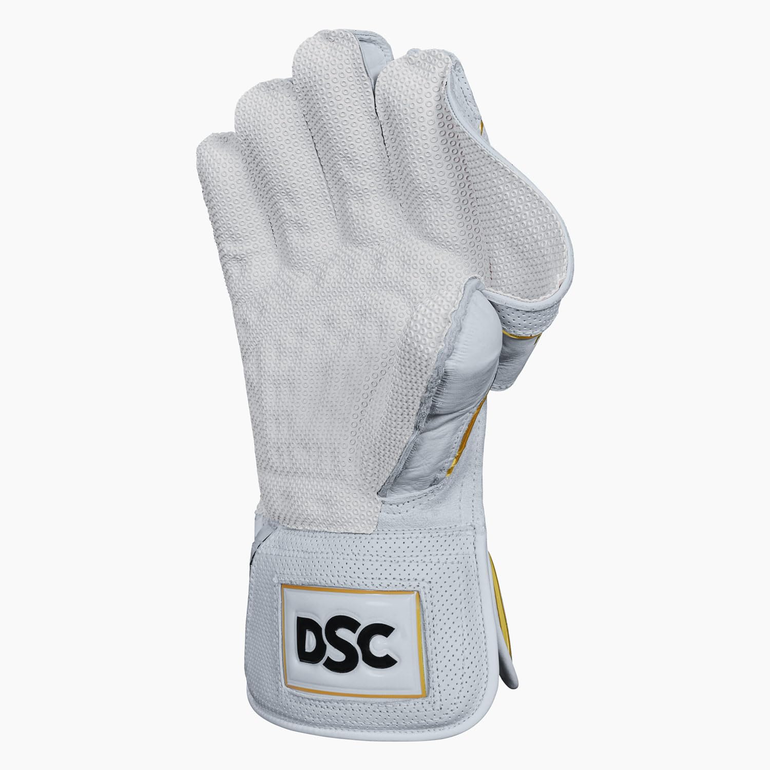 DSC Wicket Keeping Gloves Players