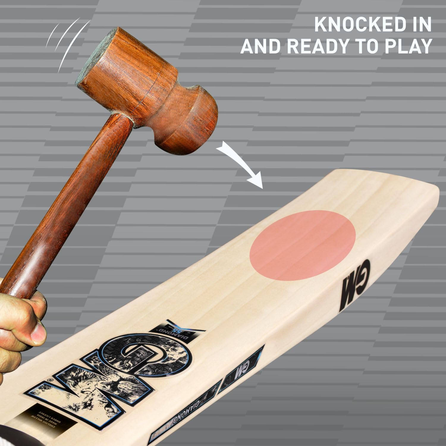 DSC Cricket Bat Diamond 404