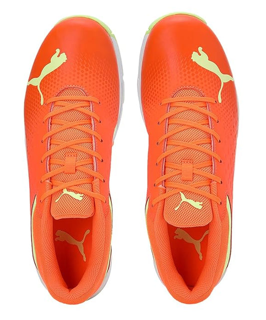 PUMA Cricket Shoes 24 FH Rubber