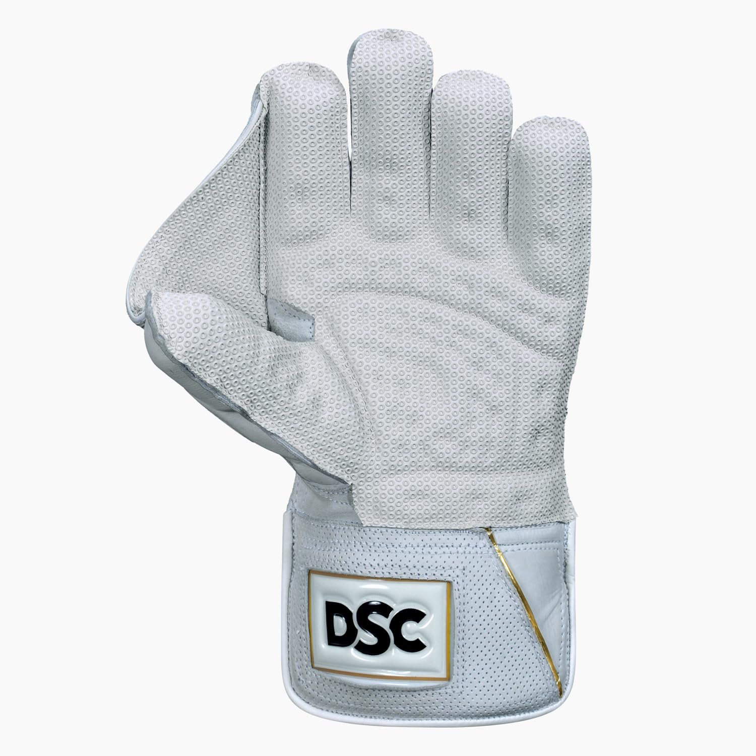 DSC Wicket Keeping Gloves Players