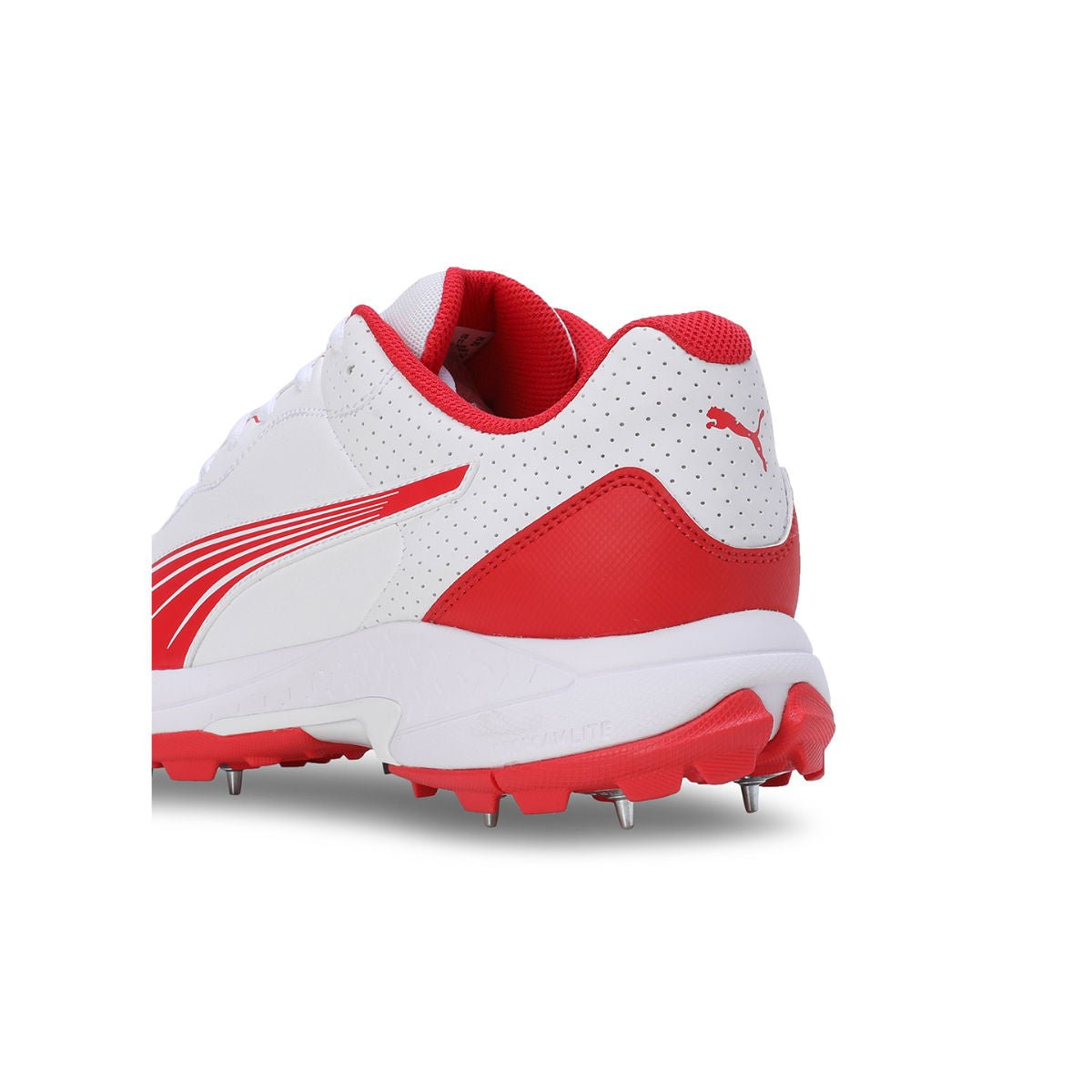 Puma Spike 24.2 Cricket Shoes - Cric Studio