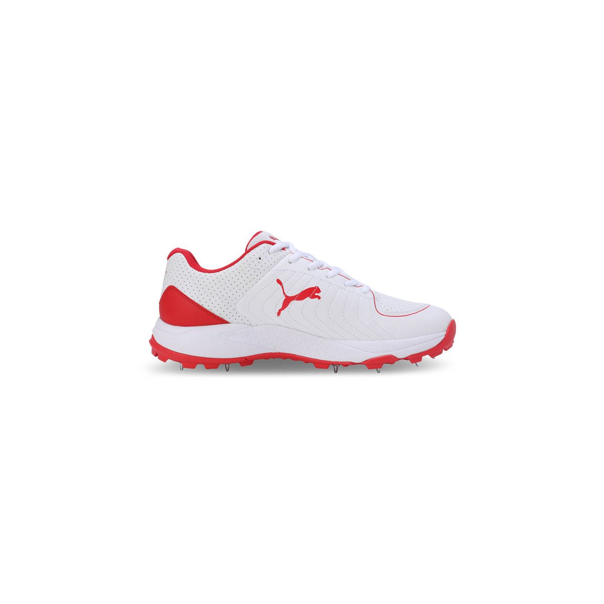 Puma Spike 24.2 Cricket Shoes - Cric Studio