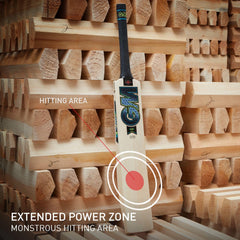 GM Cricket Bat Aion 333
