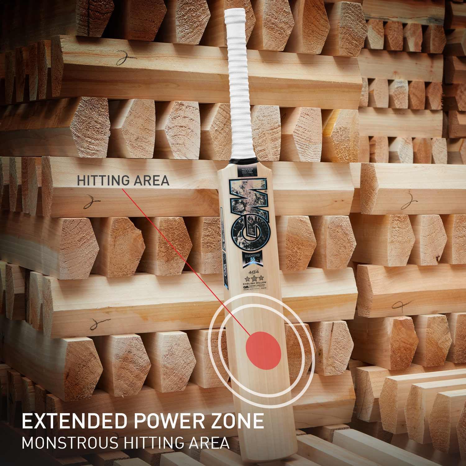GM Cricket Bat Diamond 404