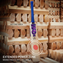 GM Cricket Bat Galaxy 333