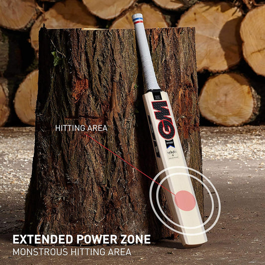 GM Cricket Bat Maxi 333