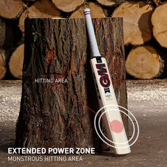 GM Cricket Bat Maxi 333