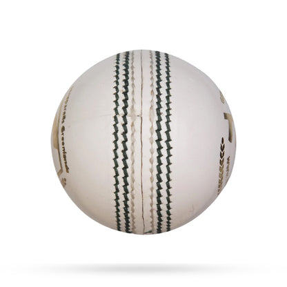 SG Test™ White Cricket Leather Ball