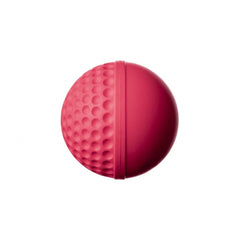 SG Cricket Ball Swinga