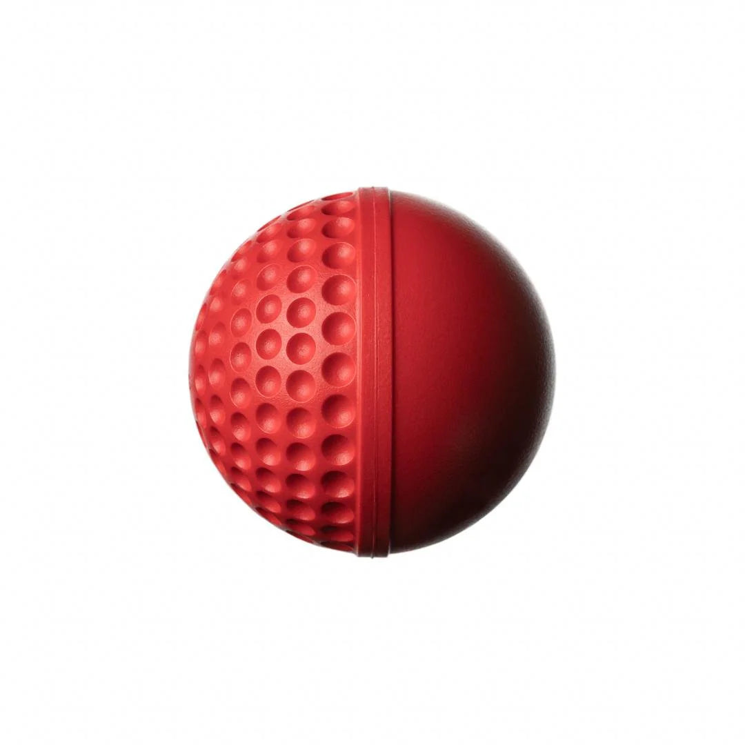 SG Cricket Ball Swinga