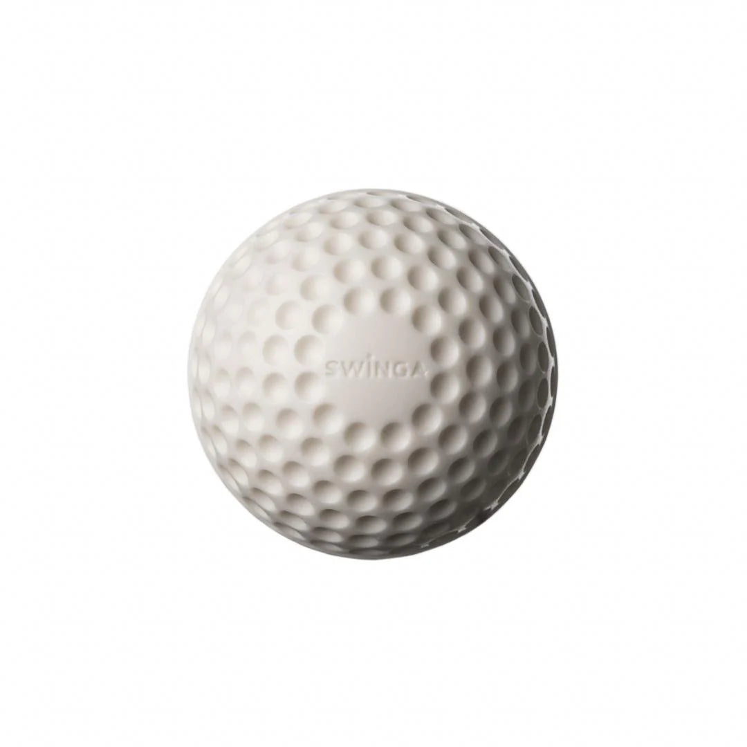 SG Cricket Ball Swinga
