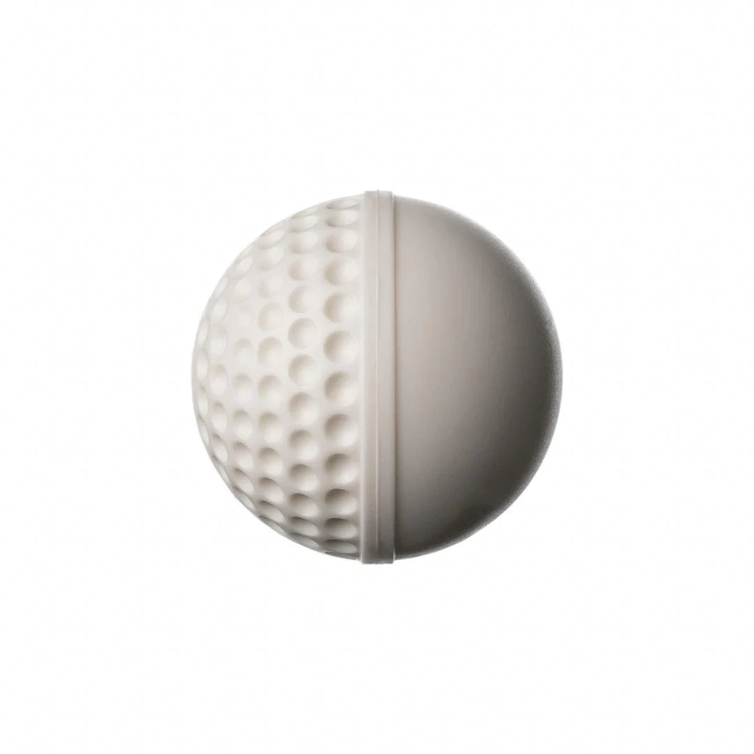 SG Cricket Ball Swinga