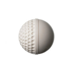 SG Cricket Ball Swinga