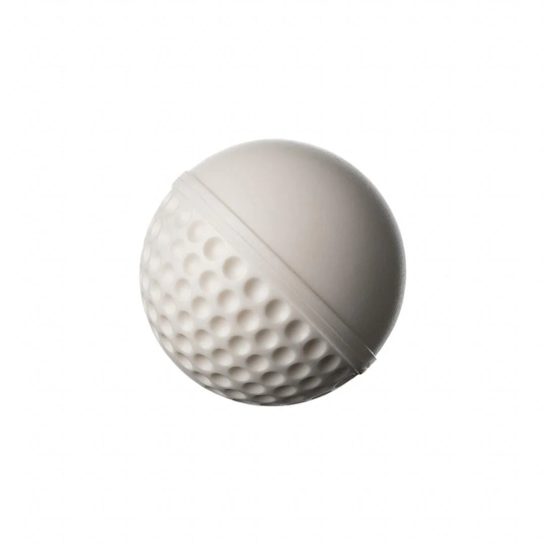 SG Cricket Ball Swinga