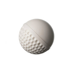 SG Cricket Ball Swinga