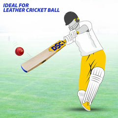 DSC Cricket Bat Bravado 88