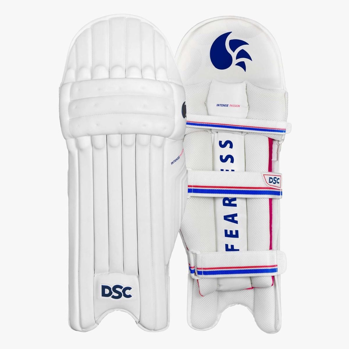 DSC Intense Passion Batting Leg Guard