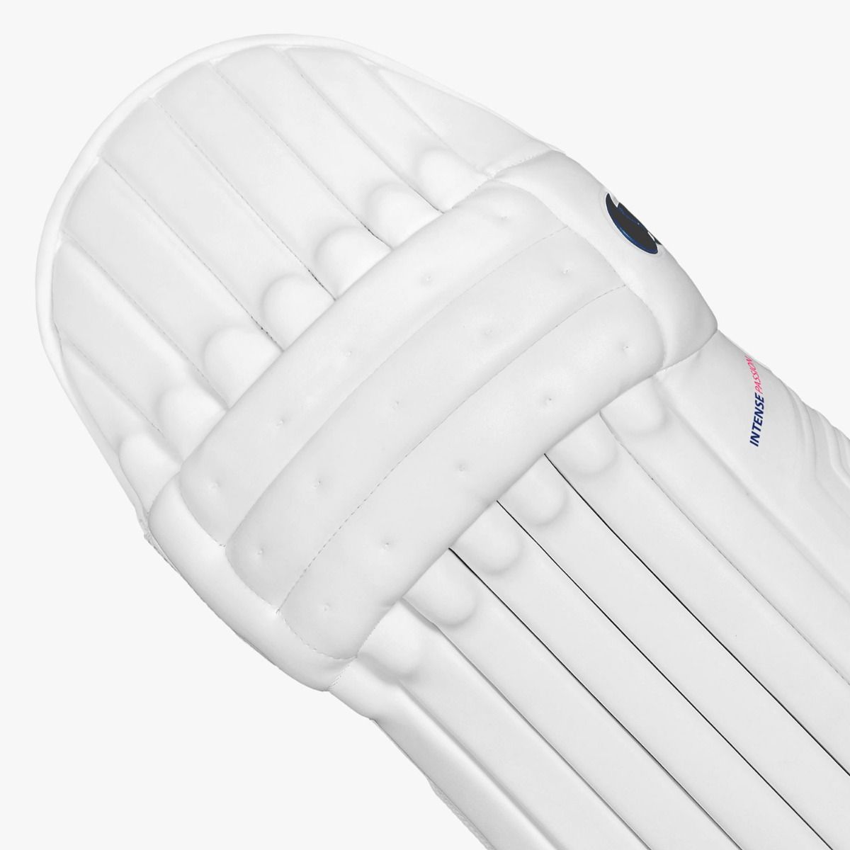 DSC Intense Passion Batting Leg Guard