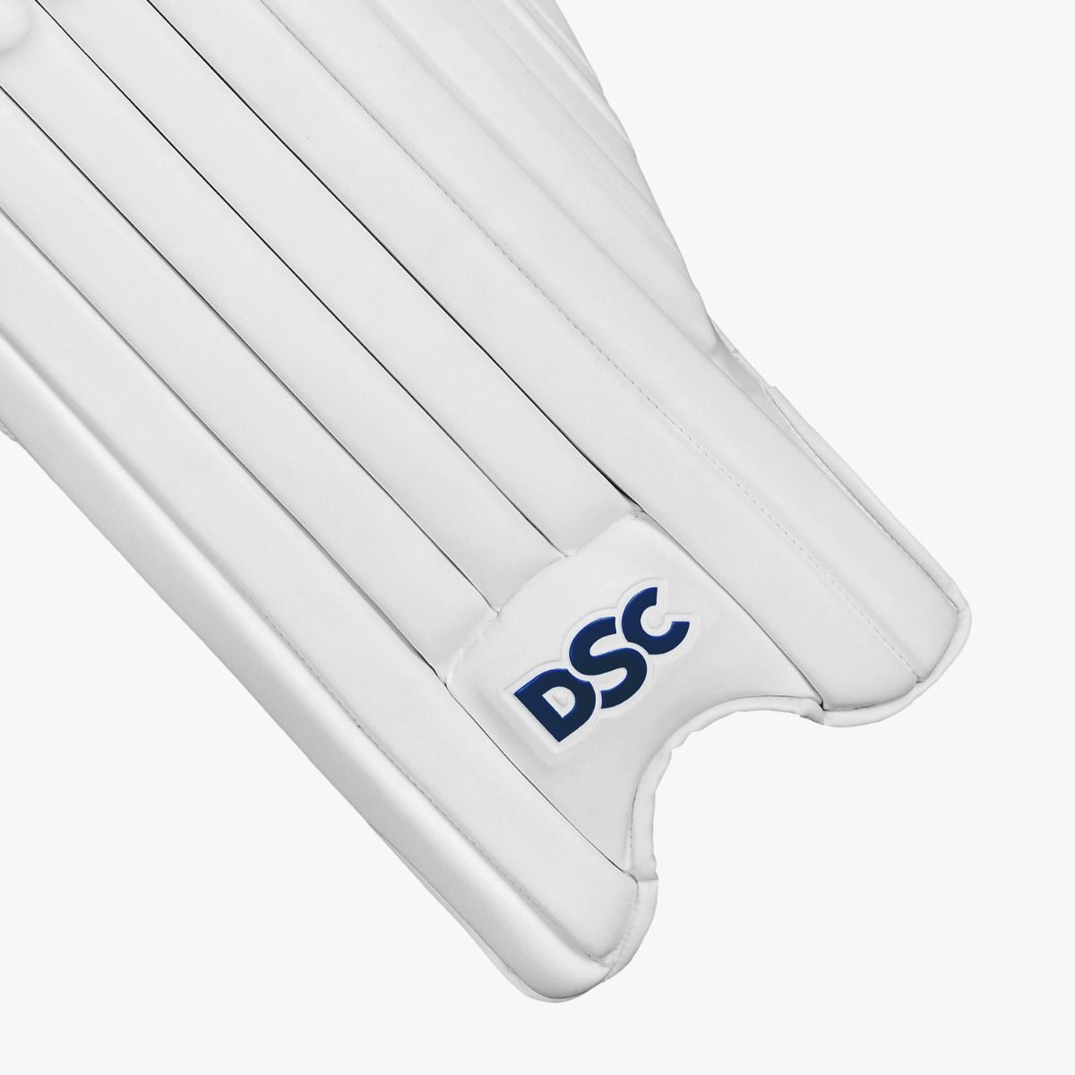 DSC Intense Passion Batting Leg Guard