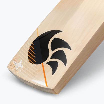 DSC Xlite 5.0 English Willow Bat SH