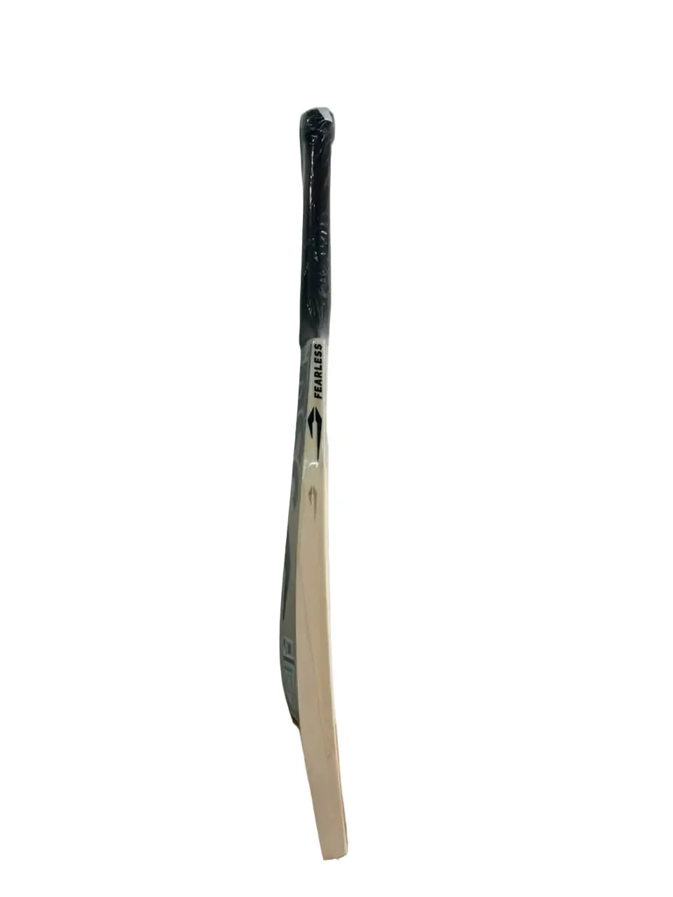 DSC Cricket Bat Monza