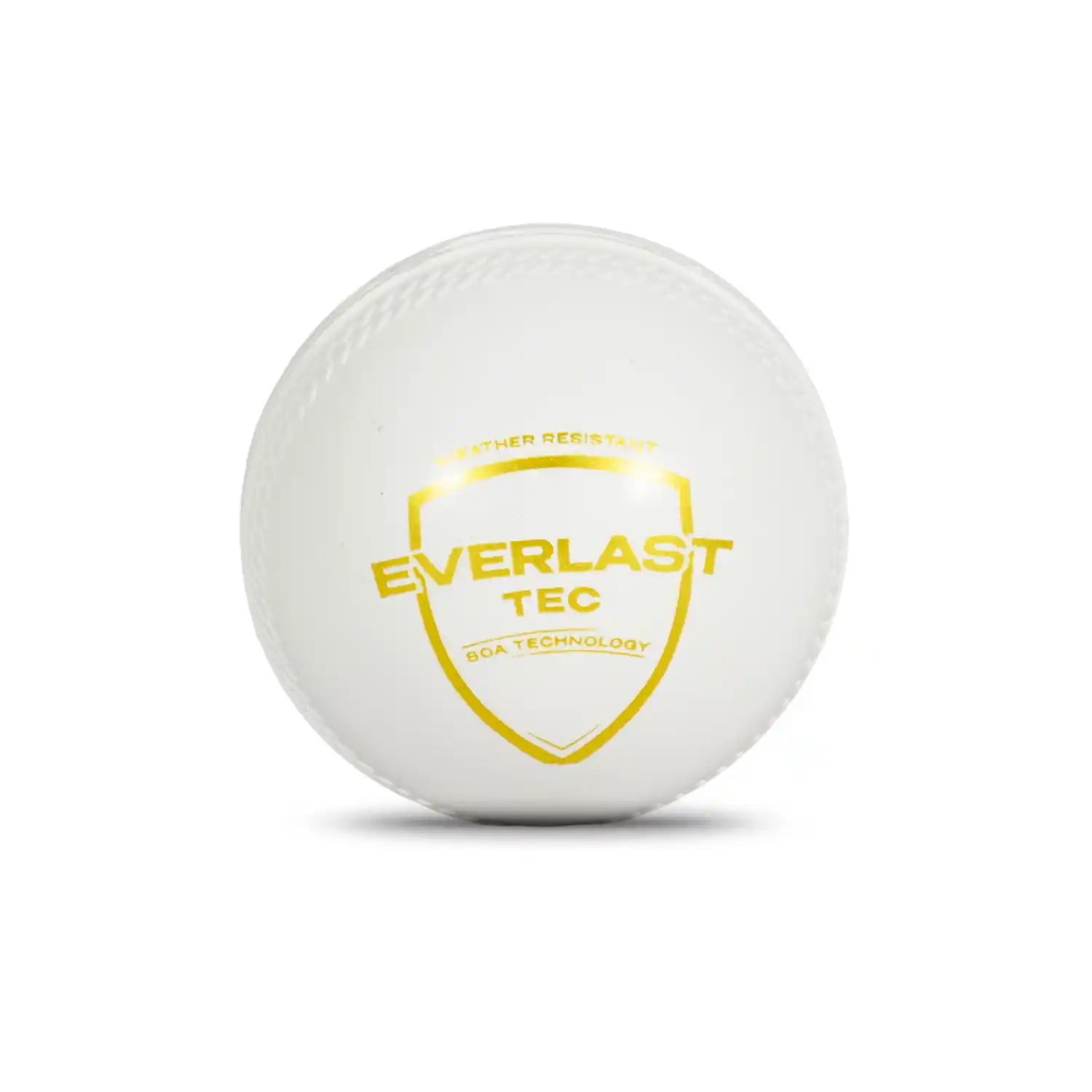 SG Cricket Ball Everlast Tec
