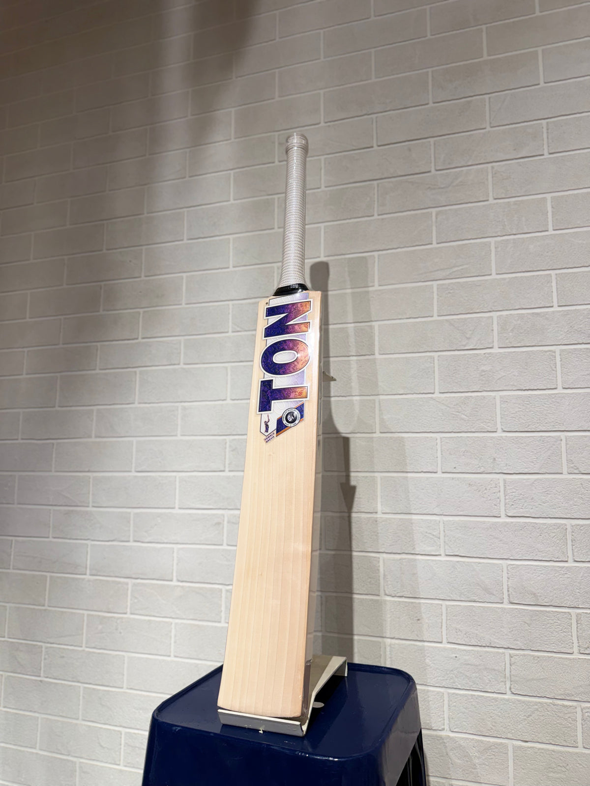 SS Cricket Bat Player (D. Brevis)