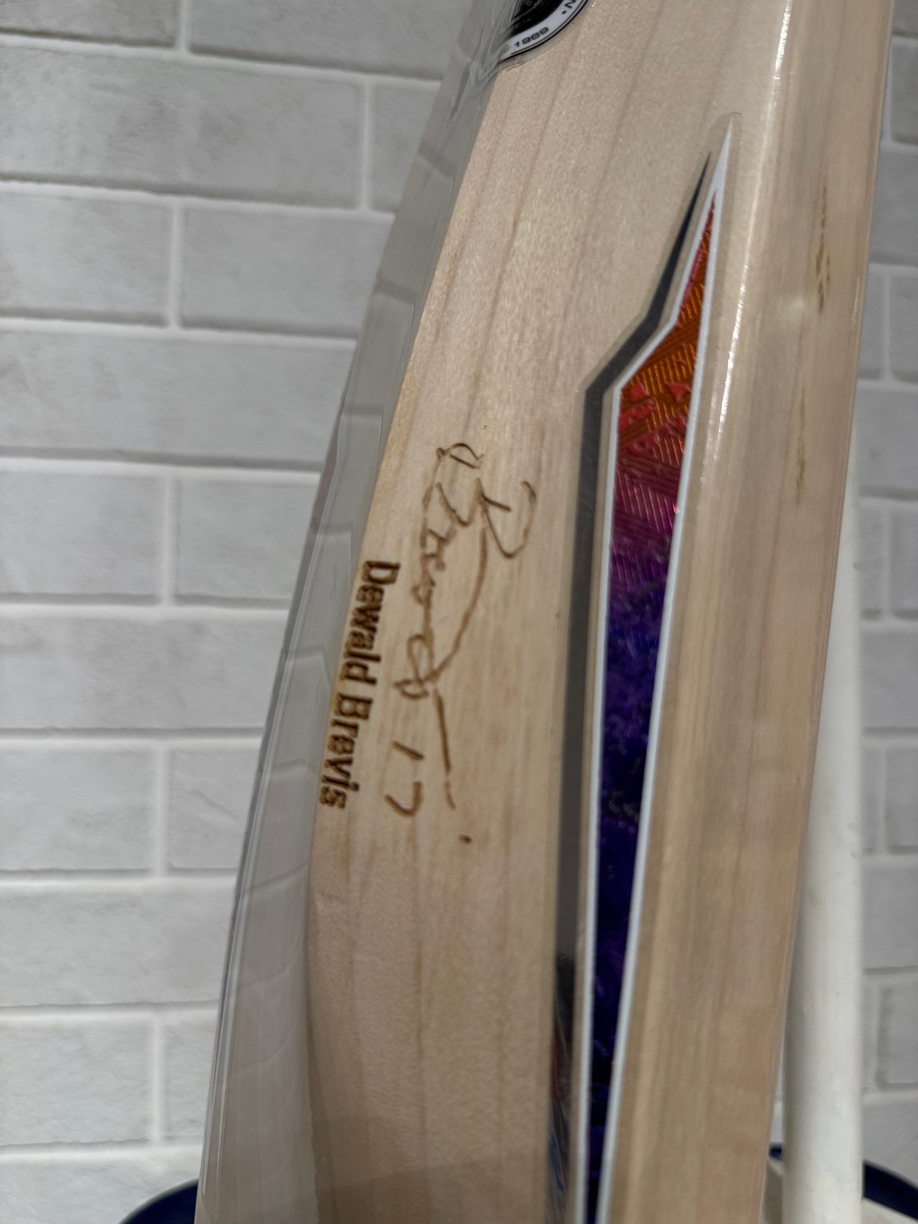 SS Cricket Bat Player (D. Brevis)